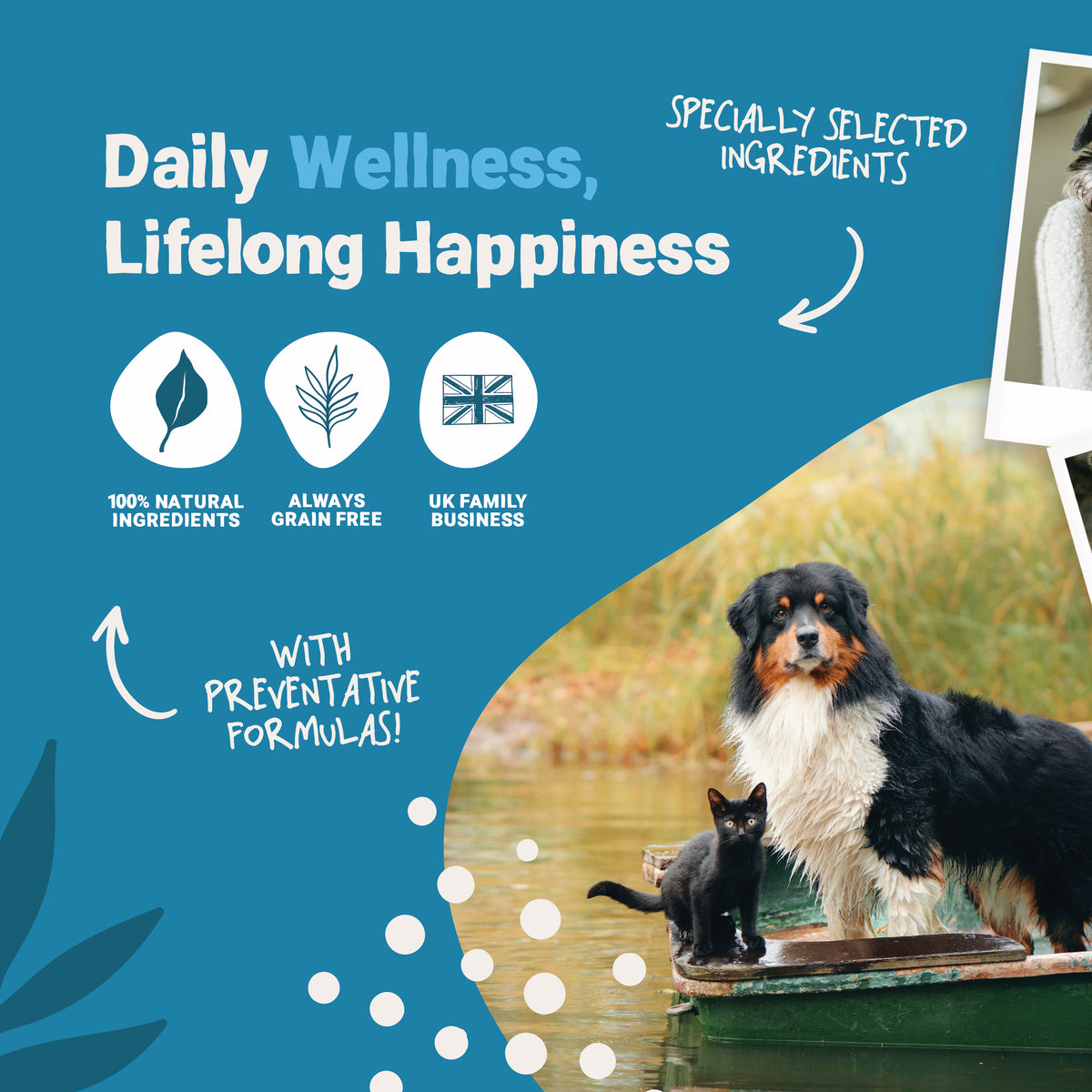 Daily Calming Salmon Oil for Dogs and Cats | 300ml