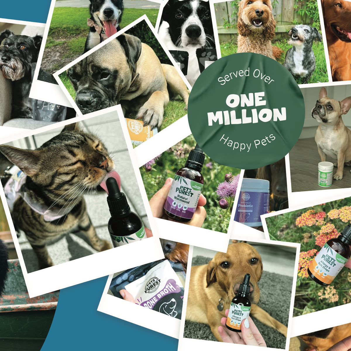 Daily Calming Salmon Oil for Dogs and Cats | 300ml