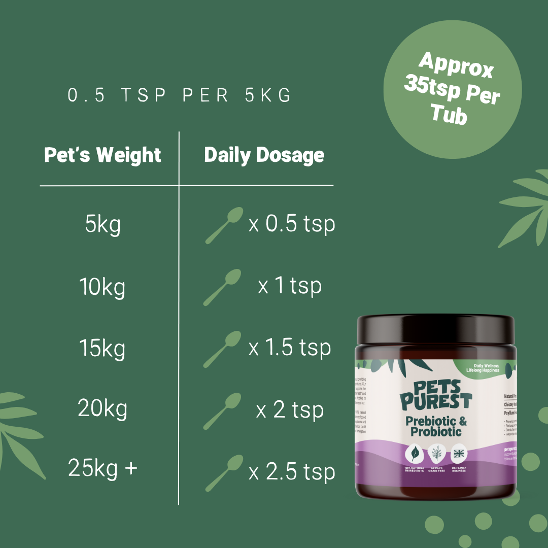 Natural Pre & Probiotic Powder 100g