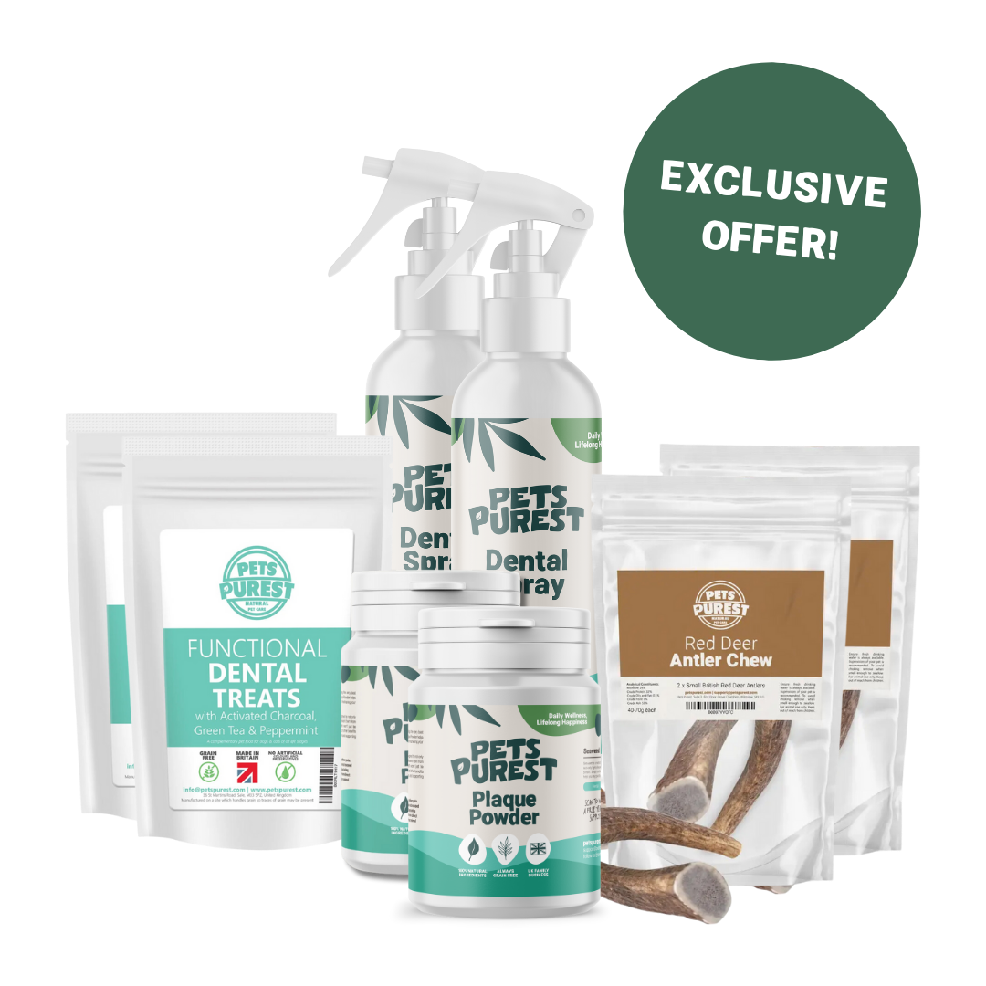 Dental Bundle (Deluxe)