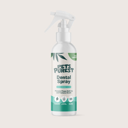 Natural Dental Spray 250ml