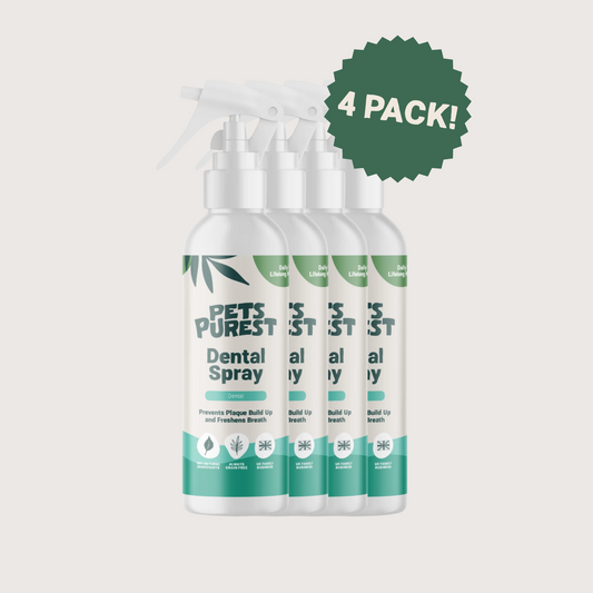 Natural Dental Spray Bundle | 4 Bottles