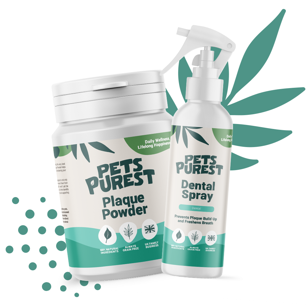 Dental Supplements for Dogs