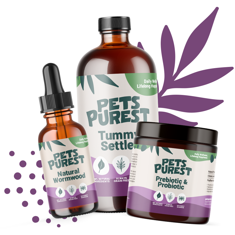 Probiotics for Cats Cat Digestion Aids Supplements