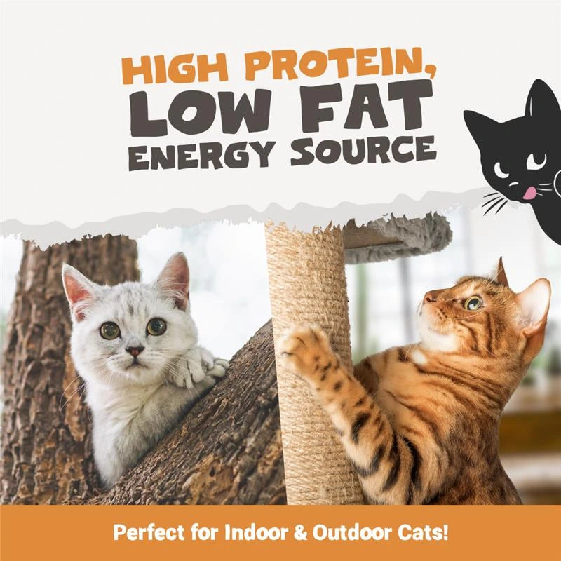 Freeze Dried Chicken Treats for Cats | 50g