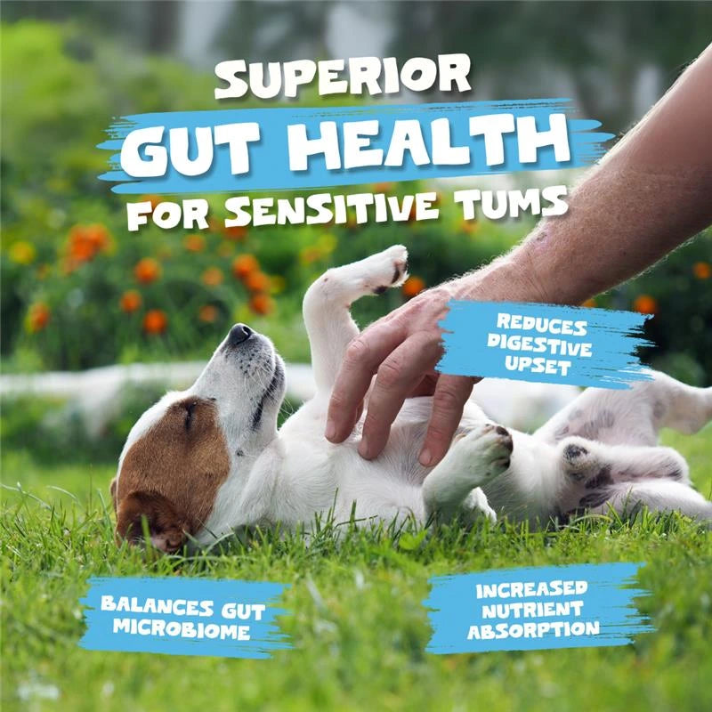 Goats Milk Powder for Dogs and Cats | 250g