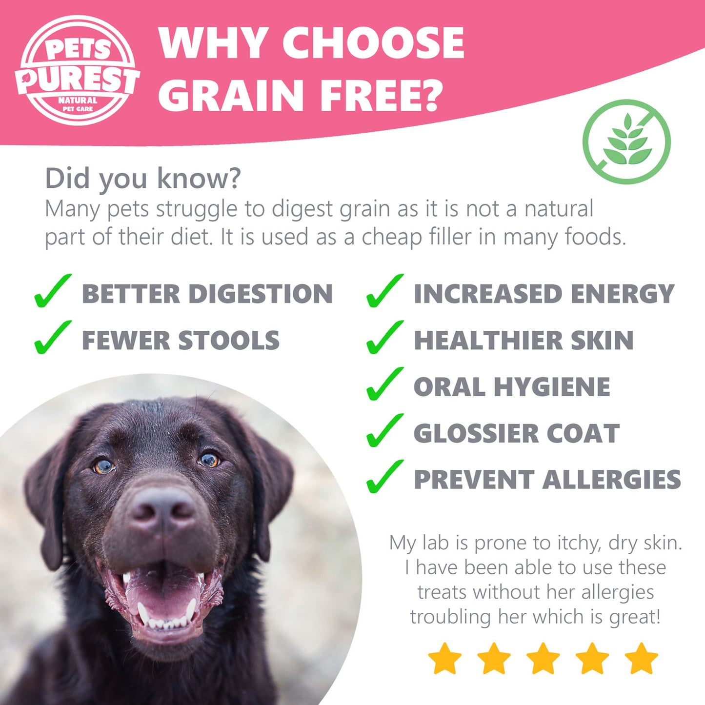 100% Natural Grain Free Immune Support Premium Treats | 70g