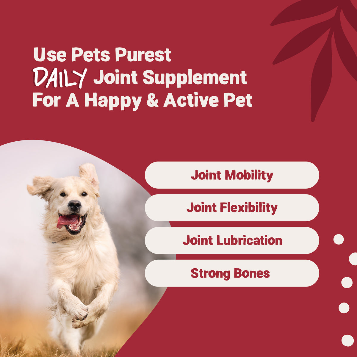 Daily Joint Salmon Oil for Dogs and Cats | 300ml