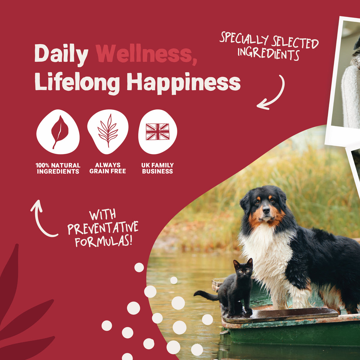 Daily Joint Salmon Oil for Dogs and Cats | 300ml