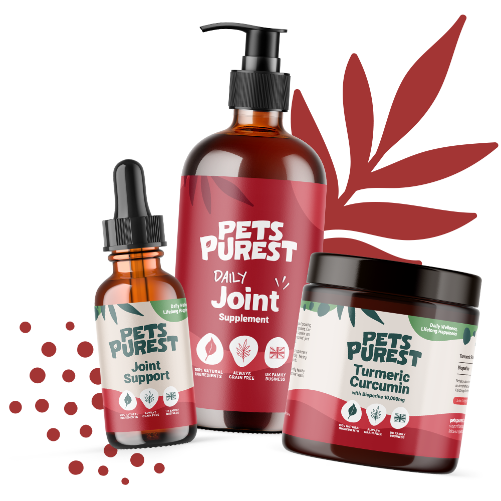 Joint & Mobility Supplements for Dogs