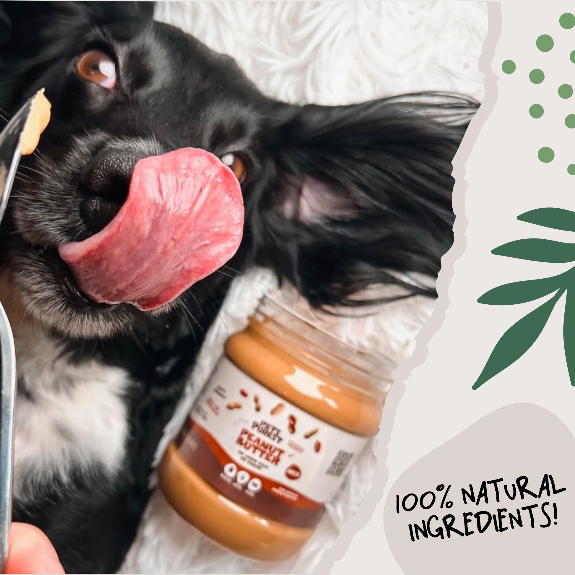 Peanut Butter For Dogs 100% Natural Pets Purest - Main Image