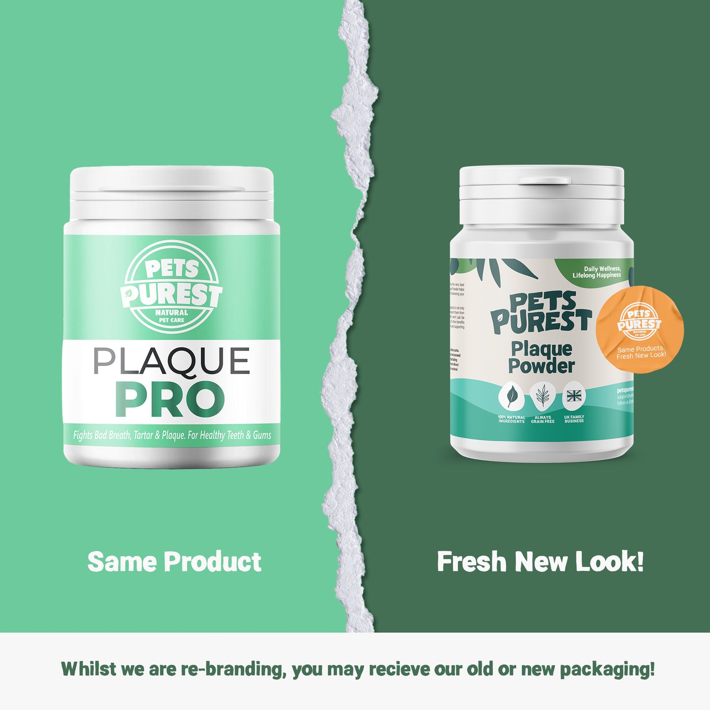 Supplement Bundle For Dogs