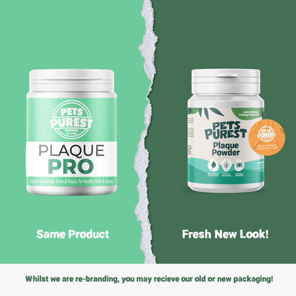 Supplement Bundle For Dogs