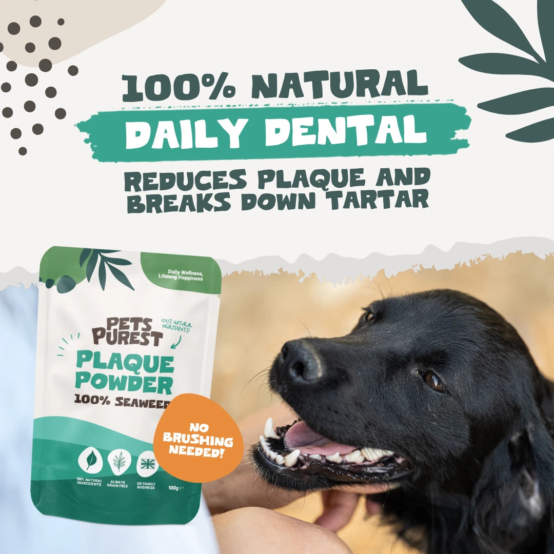 Natural Plaque Removal Powder for Dogs & Cats | 185g