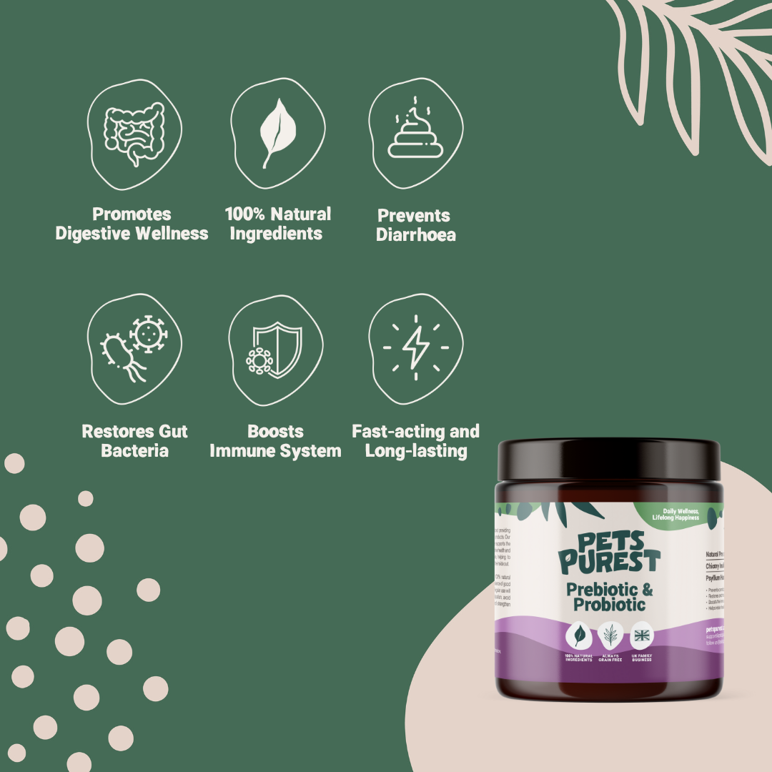 Pre & Probiotic Powder