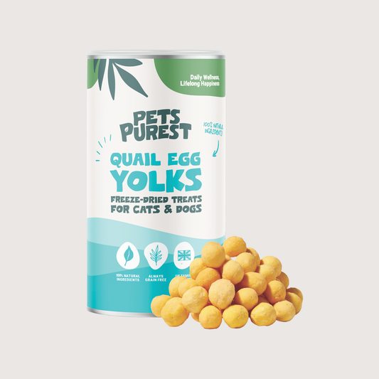 Freeze-Dried Quail Egg Yolk | 100g