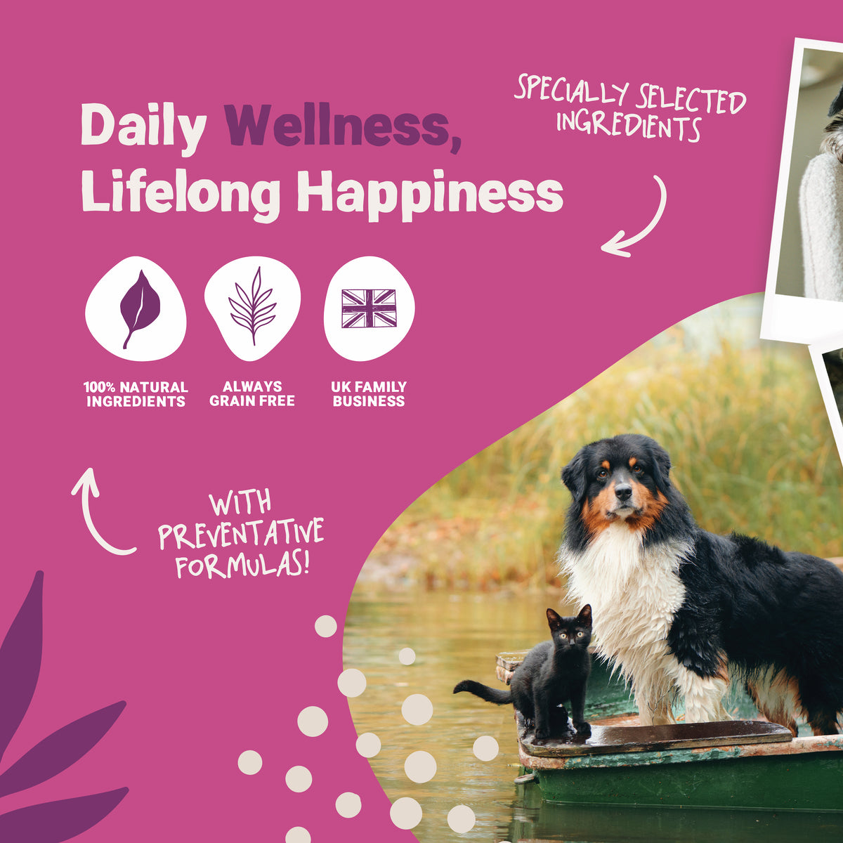 Daily Senior Salmon Oil for Dogs and Cats | 300ml