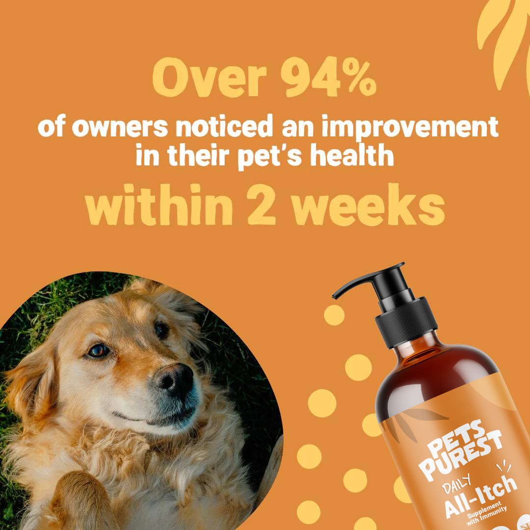 Daily All Itch Salmon Oil for Dogs and Cats | 300ml