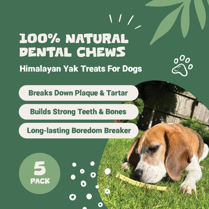 Himalayan Yak Chews - Small (5 pack) | 100g