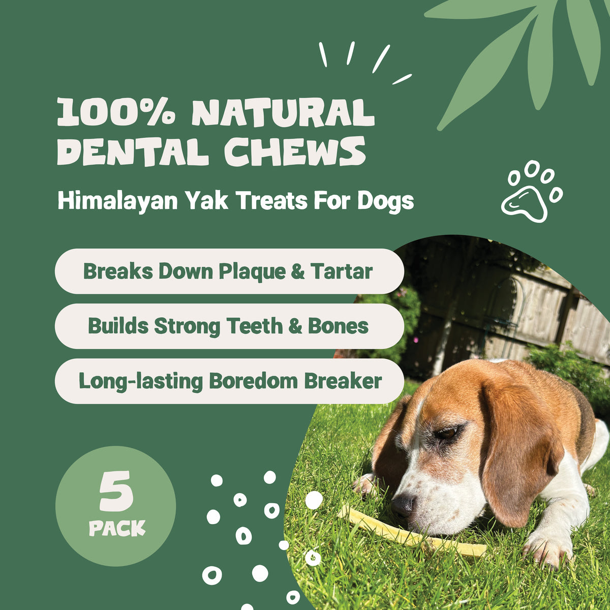 Small Himalayan Yak Cheese Bones | 5 Pack