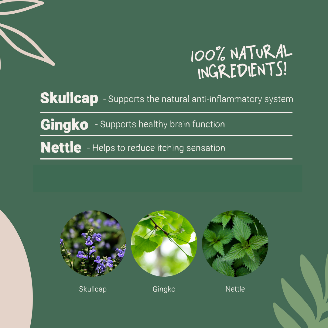 Natural antihistamine for deals dogs