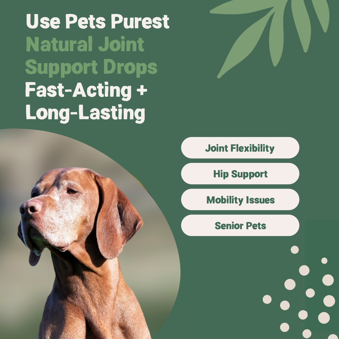 All natural joint supplement for dogs clearance