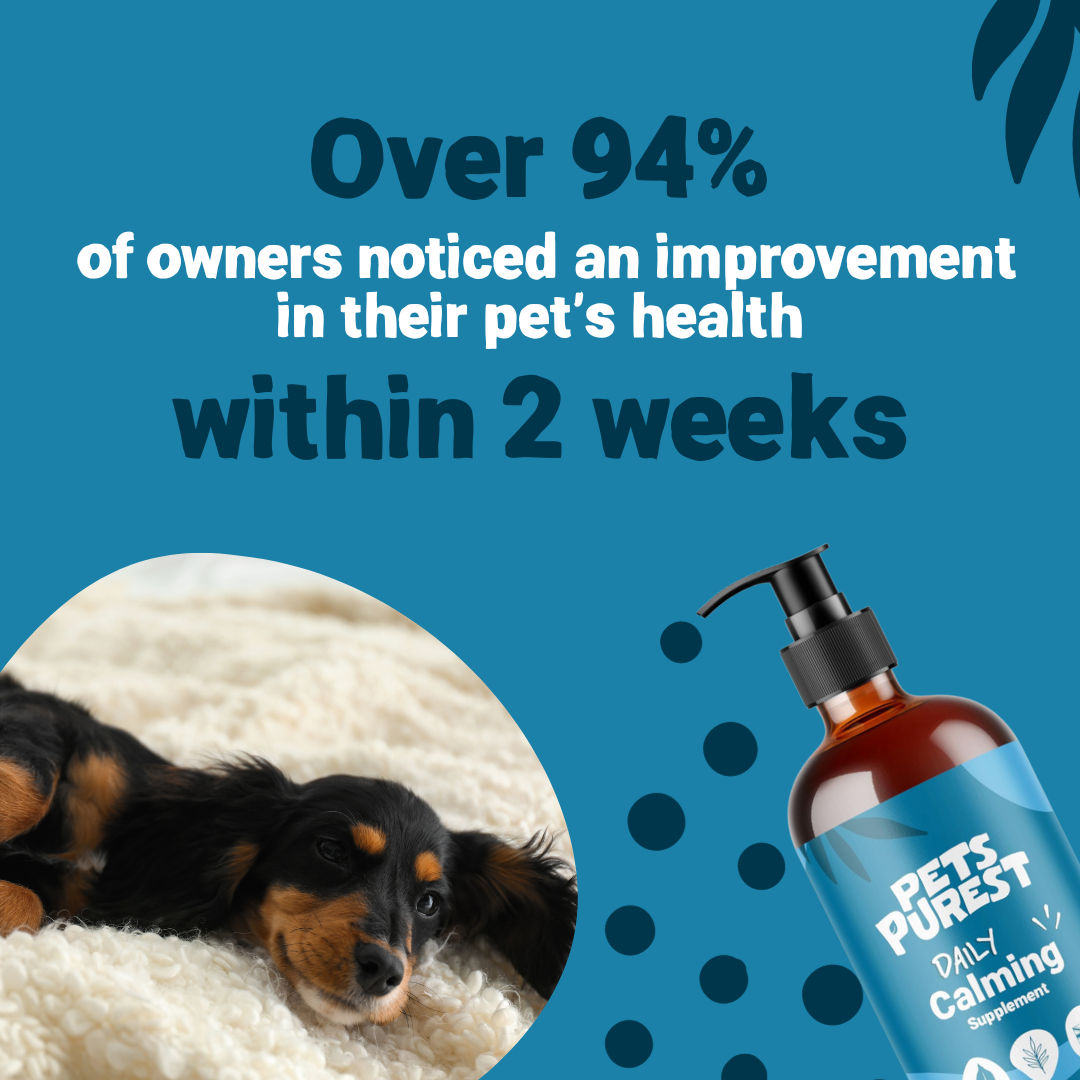 Daily Calming Salmon Oil for Dogs and Cats | 300ml
