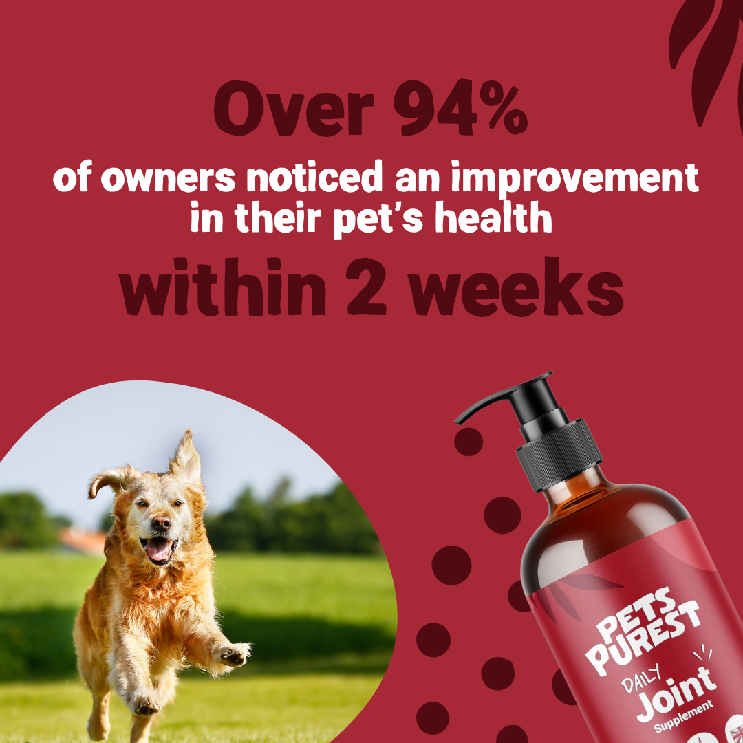 Daily Joint Salmon Oil for Dogs and Cats | 300ml
