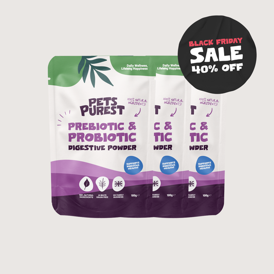 Natural Pre & Probiotic Powder | 3 Pack Bundle