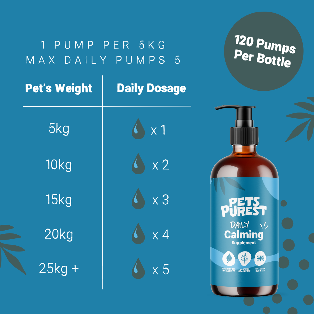 Daily Calming Salmon Oil for Dogs and Cats | 300ml