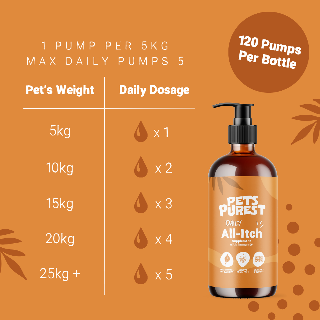 Daily All Itch Salmon Oil for Dogs and Cats | 300ml