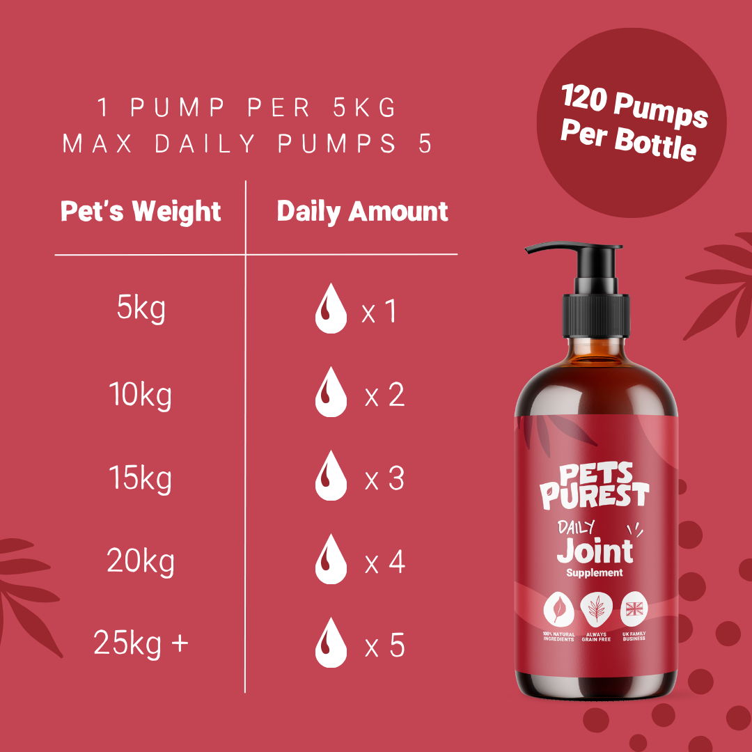 Daily Joint Salmon Oil for Dogs and Cats | 300ml