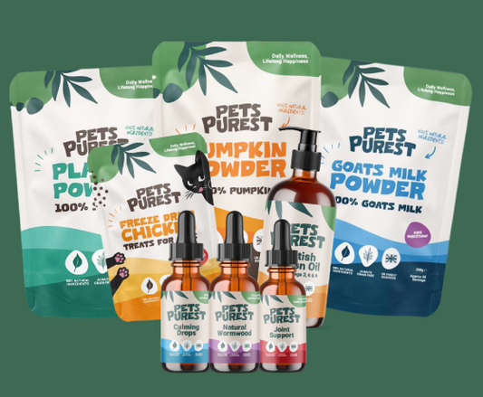 Best Sellers Wholesale Welcome Bundle (Large)