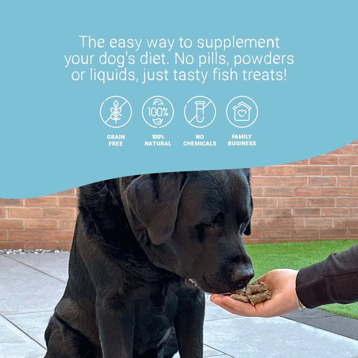 Daily Calming Supplement Treats for Dogs