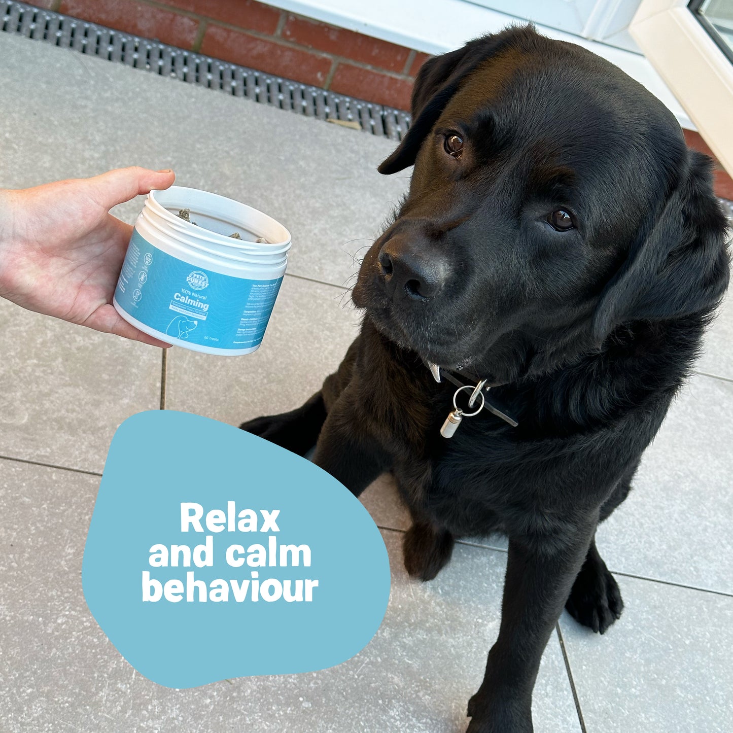 Daily Calming Supplement Treats for Dogs