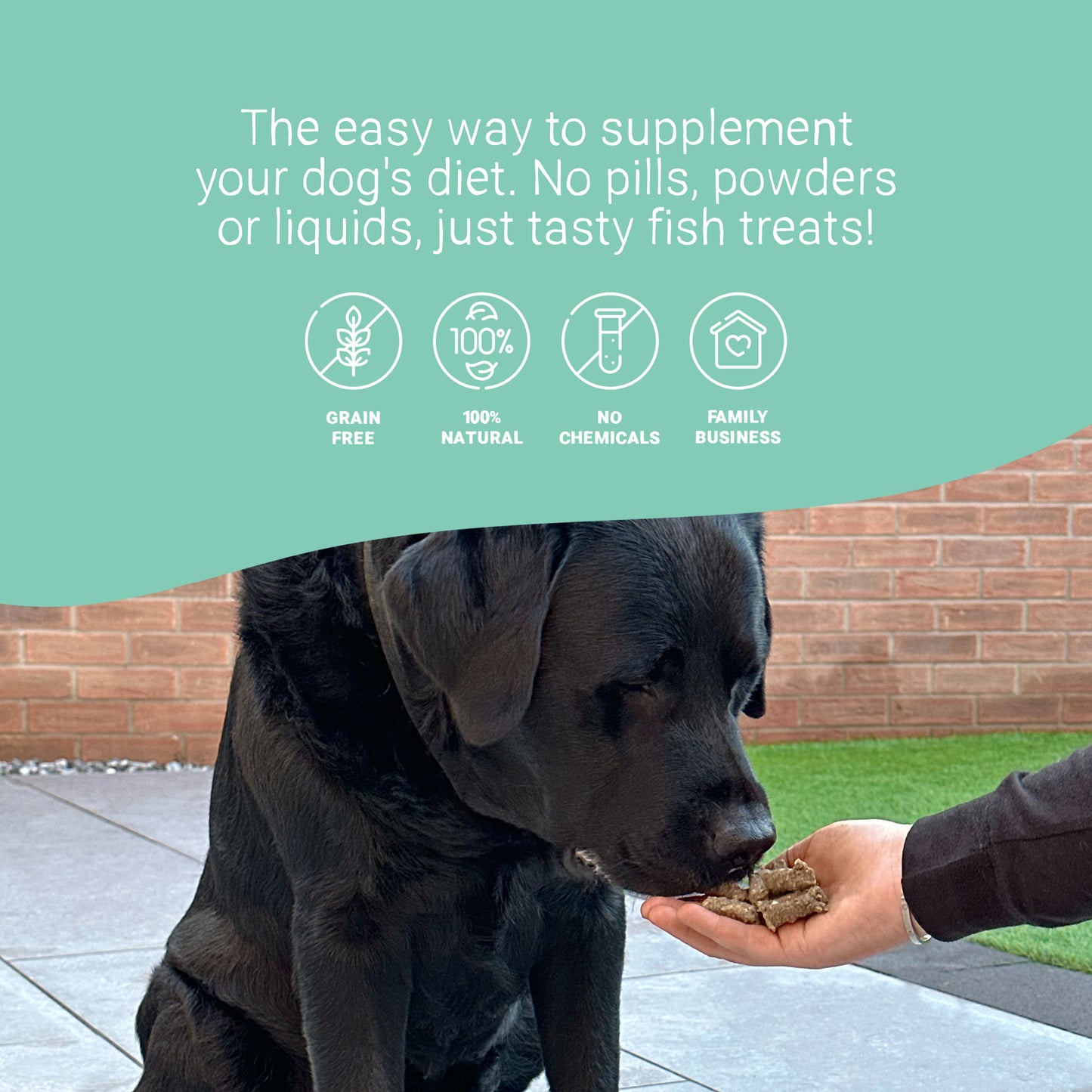 Daily Dental Supplement Treats for Dogs