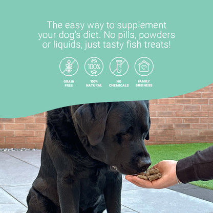 Daily Dental Supplement Treats for Dogs