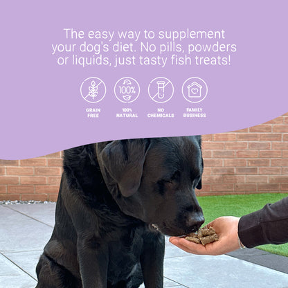Daily Probiotic Supplement Treats for Dogs