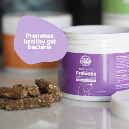 Daily Probiotic Supplement Treats for Dogs