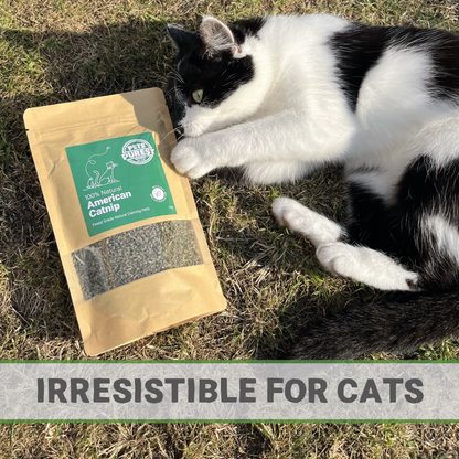 100% Natural North American Catnip | 35g