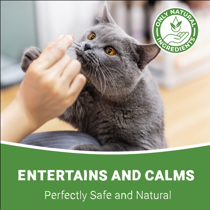 100% Natural North American Catnip | 35g