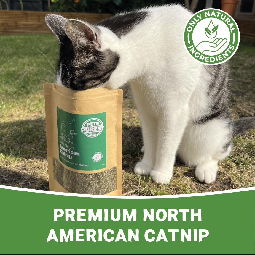 100% Natural North American Catnip | 35g