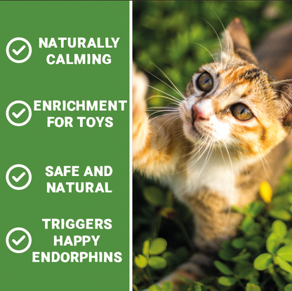 100% Natural North American Catnip | 35g