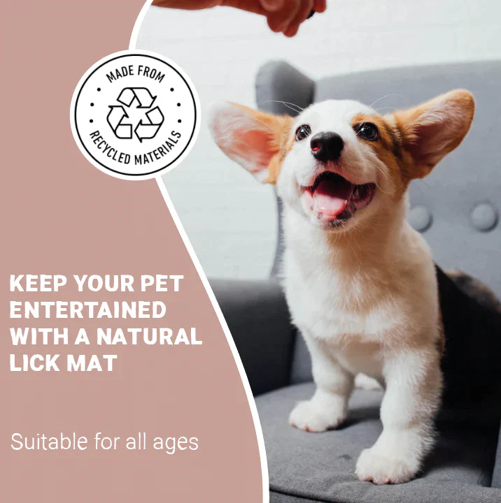 Lick Mat for Dogs and Cats