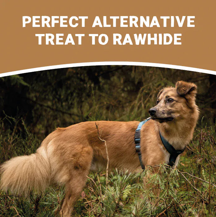 Deer Antlers for Dogs