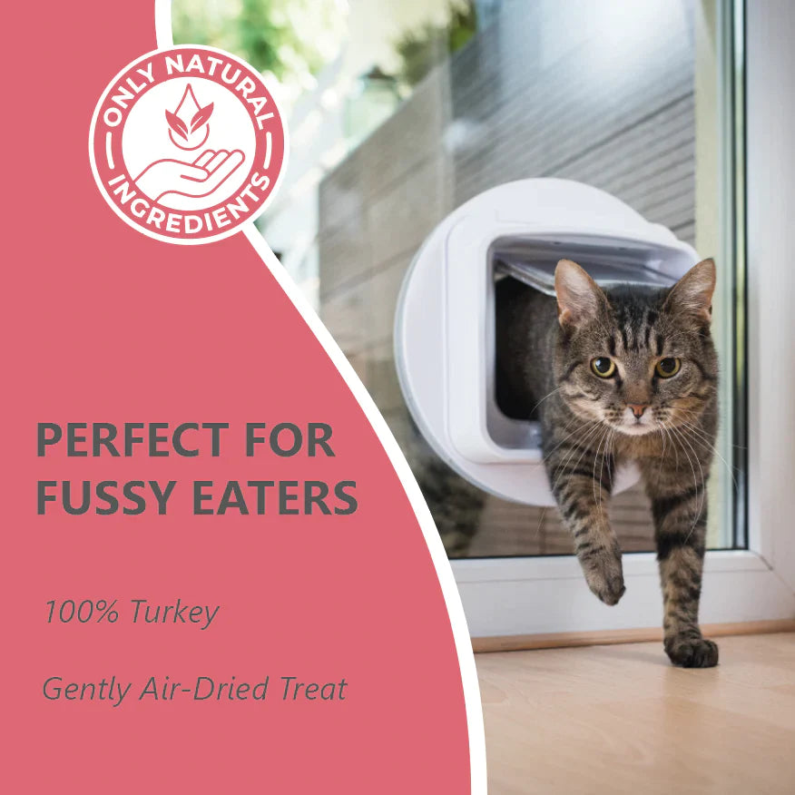 Turkey Cat Treats